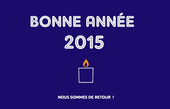 Bonne Année 2015 - La Belle Mèche