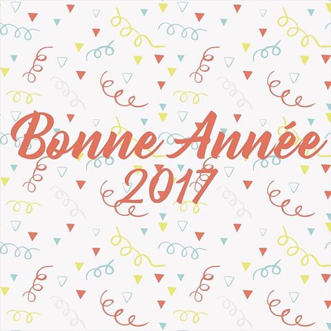 Bonne Année 2017 - La Belle Mèche
