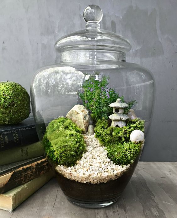 DIY : Le Terrarium, l'objet déco ultra tendance ! - La Belle Mèche