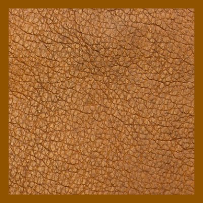 Le Rendez-vous des Parfums : Cuir - La Belle Mèche