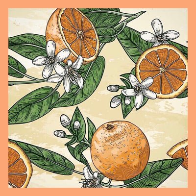 Le Rendez-vous des Parfums : Fleur d'Oranger - La Belle Mèche