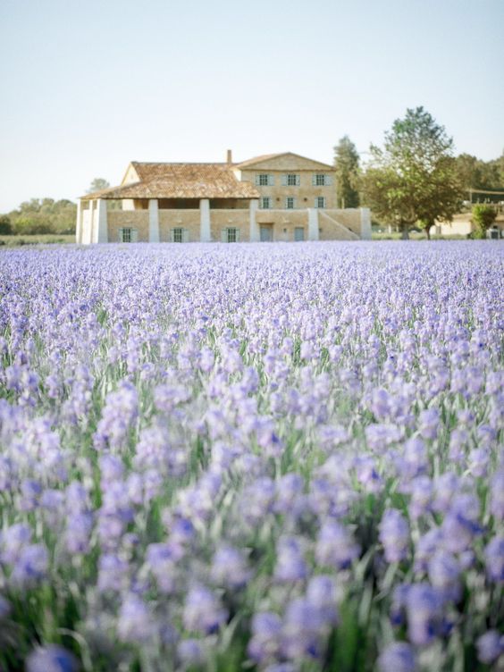 Les bons gestes La Belle Mèche - La Belle Mèche