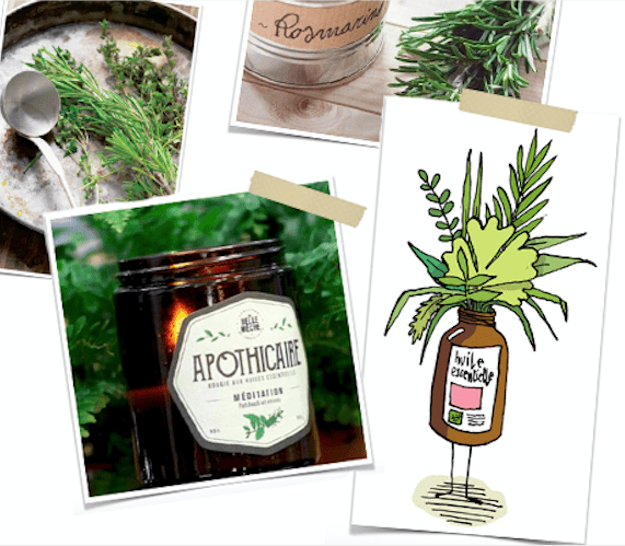 Les huiles essentielles, un atout pour bien finir l'hiver ! - La Belle Mèche